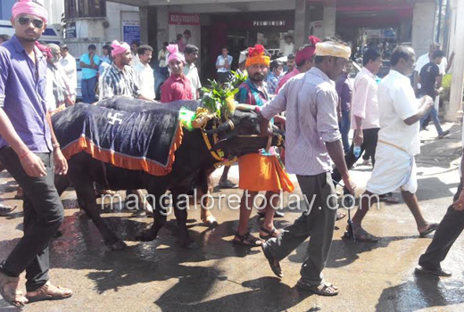 Kambala ban protest 1